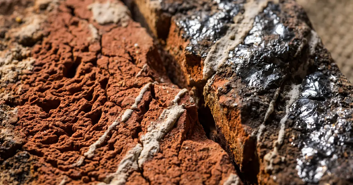 Ekstremalne zbliżenie na ścianę z płytek ze starej cegły, pokazujące czarne przepalenia (zendrówki) oraz białe ślady zabytkowej zaprawy wapiennej.